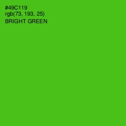 #49C119 - Bright Green Color Image