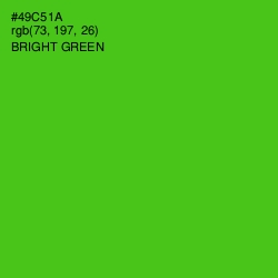 #49C51A - Bright Green Color Image