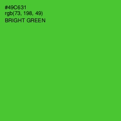 #49C631 - Bright Green Color Image