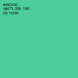 #49CE9C - De York Color Image