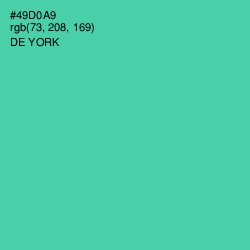 #49D0A9 - De York Color Image