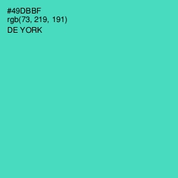 #49DBBF - De York Color Image