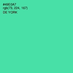 #49E0A7 - De York Color Image