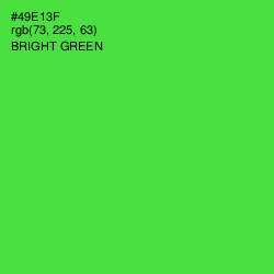 #49E13F - Bright Green Color Image