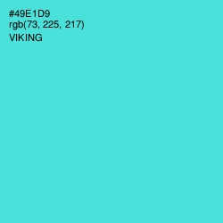 #49E1D9 - Viking Color Image