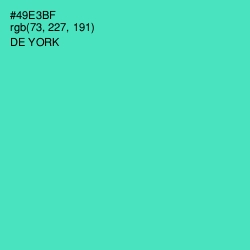 #49E3BF - De York Color Image