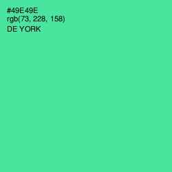 #49E49E - De York Color Image