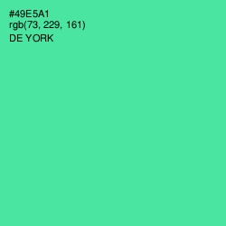 #49E5A1 - De York Color Image