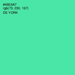 #49E6A7 - De York Color Image