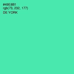 #49E8B1 - De York Color Image