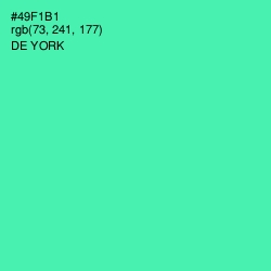 #49F1B1 - De York Color Image