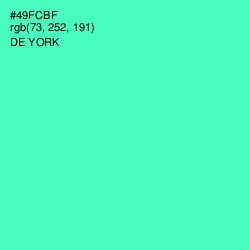 #49FCBF - De York Color Image