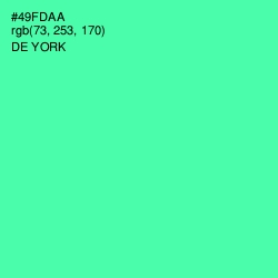#49FDAA - De York Color Image