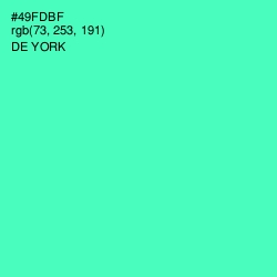 #49FDBF - De York Color Image