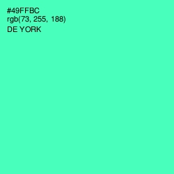 #49FFBC - De York Color Image