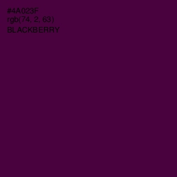 #4A023F - Blackberry Color Image