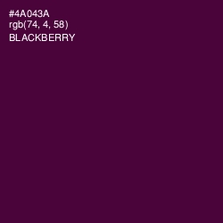 #4A043A - Blackberry Color Image