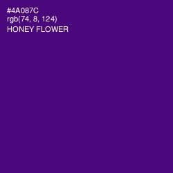 #4A087C - Honey Flower Color Image
