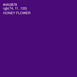 #4A0B78 - Honey Flower Color Image