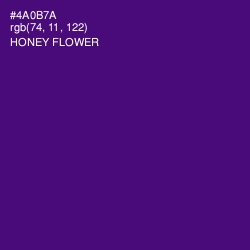 #4A0B7A - Honey Flower Color Image