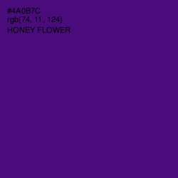 #4A0B7C - Honey Flower Color Image