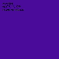 #4A0B9B - Pigment Indigo Color Image