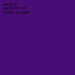 #4A0C75 - Honey Flower Color Image