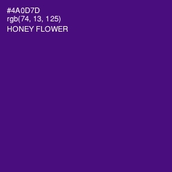 #4A0D7D - Honey Flower Color Image