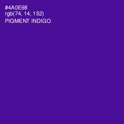 #4A0E98 - Pigment Indigo Color Image