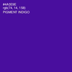 #4A0E9E - Pigment Indigo Color Image