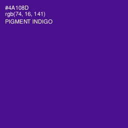 #4A108D - Pigment Indigo Color Image