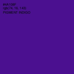 #4A108F - Pigment Indigo Color Image