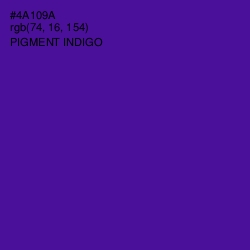 #4A109A - Pigment Indigo Color Image