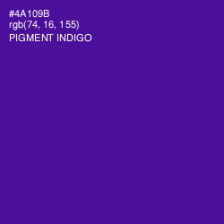 #4A109B - Pigment Indigo Color Image