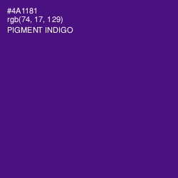 #4A1181 - Pigment Indigo Color Image