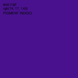 #4A118F - Pigment Indigo Color Image