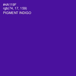 #4A119F - Pigment Indigo Color Image