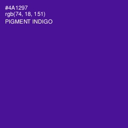 #4A1297 - Pigment Indigo Color Image