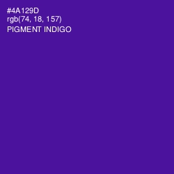 #4A129D - Pigment Indigo Color Image