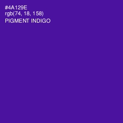#4A129E - Pigment Indigo Color Image