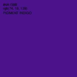 #4A138B - Pigment Indigo Color Image