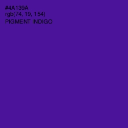 #4A139A - Pigment Indigo Color Image