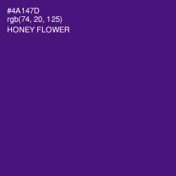 #4A147D - Honey Flower Color Image