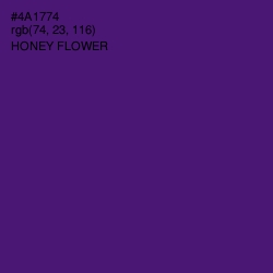 #4A1774 - Honey Flower Color Image