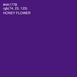 #4A177B - Honey Flower Color Image