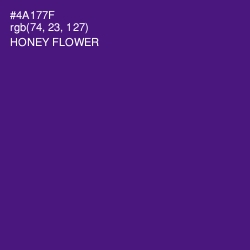 #4A177F - Honey Flower Color Image