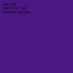 #4A1785 - Pigment Indigo Color Image