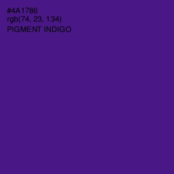 #4A1786 - Pigment Indigo Color Image