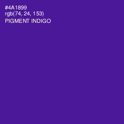 #4A1899 - Pigment Indigo Color Image