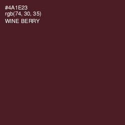 #4A1E23 - Wine Berry Color Image